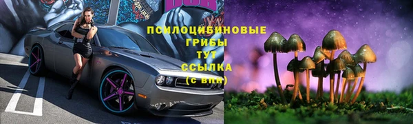 бошки Заводоуковск
