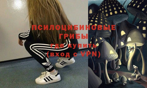 бошки Заводоуковск