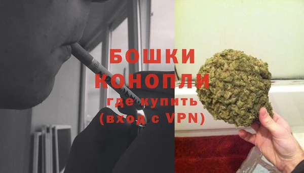бошки Заводоуковск