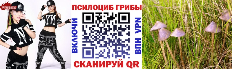 Купить  Сосновый Бор  Псилоцибиновые грибы прущие грибы 